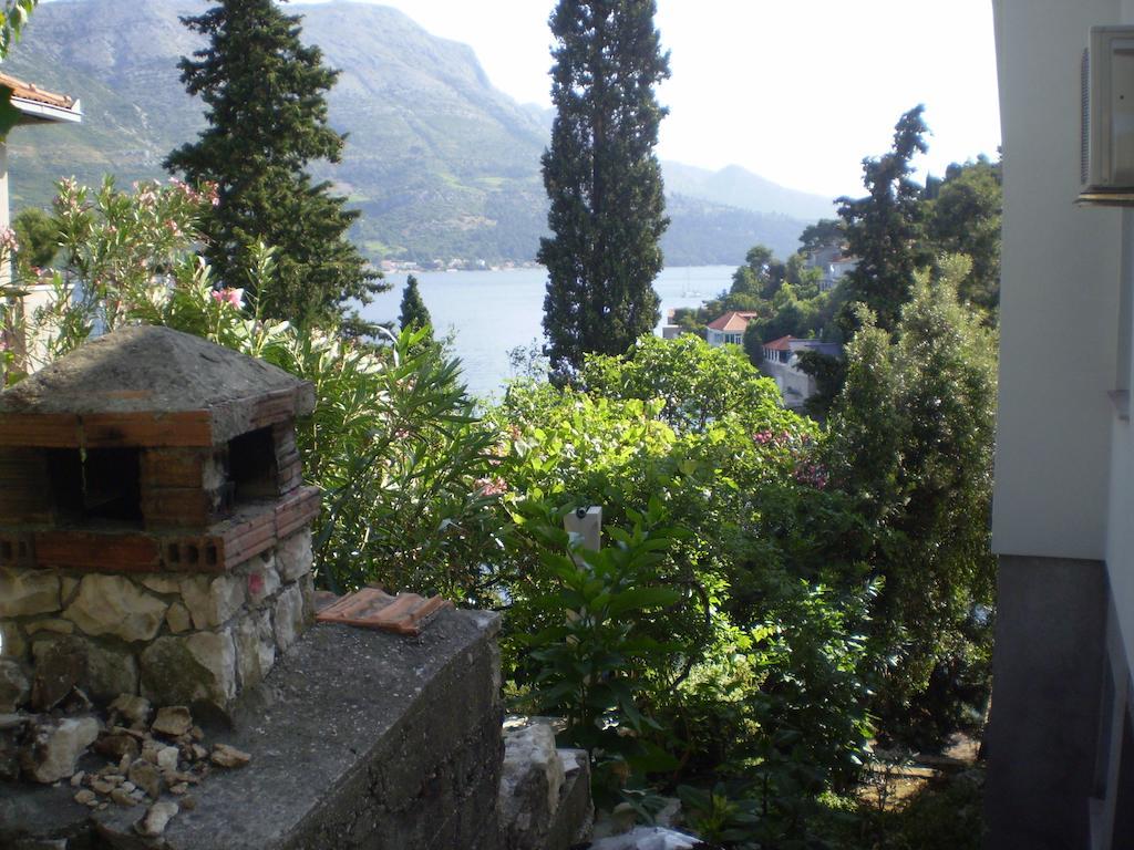 Zuvela Korčula