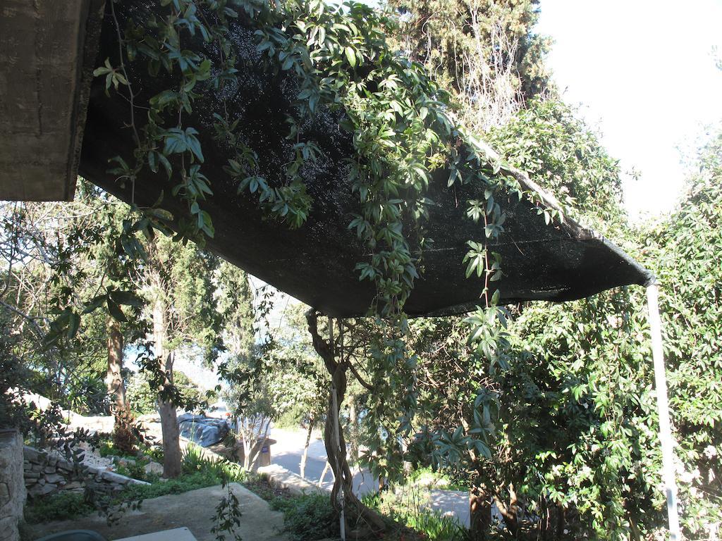Apartament Zuvela